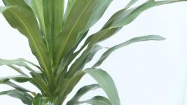 也门铁和的区别